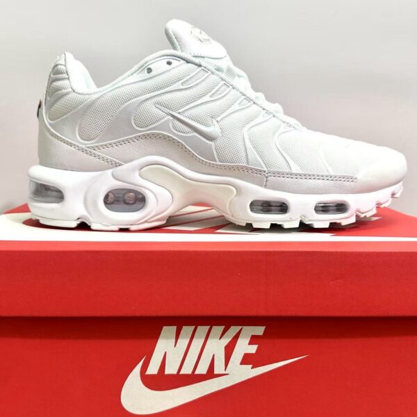 Nike TN Air Max Plus