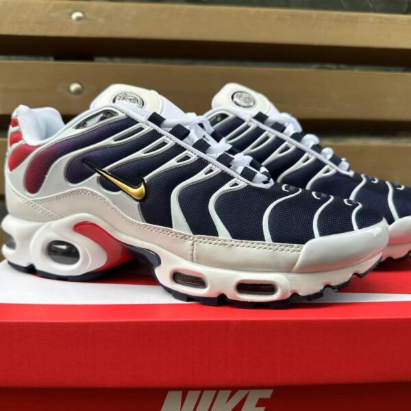 Nike TN Air Max Plus
