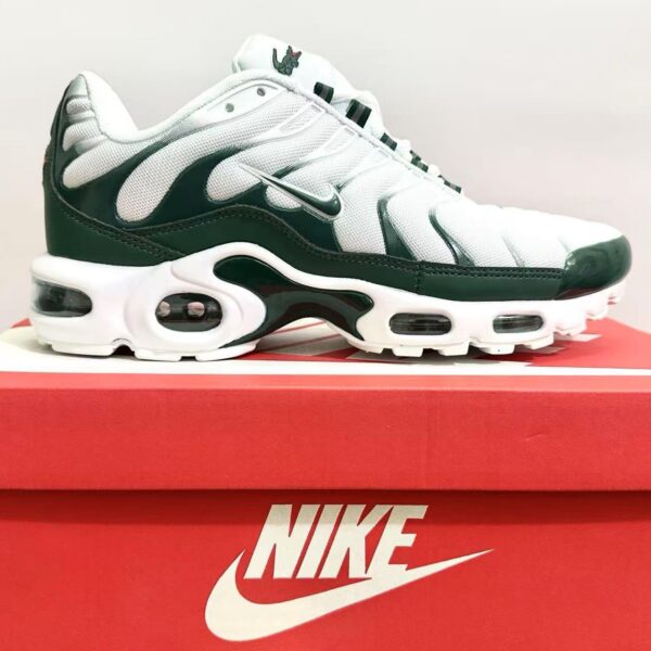 Nike TN Air Max Plus