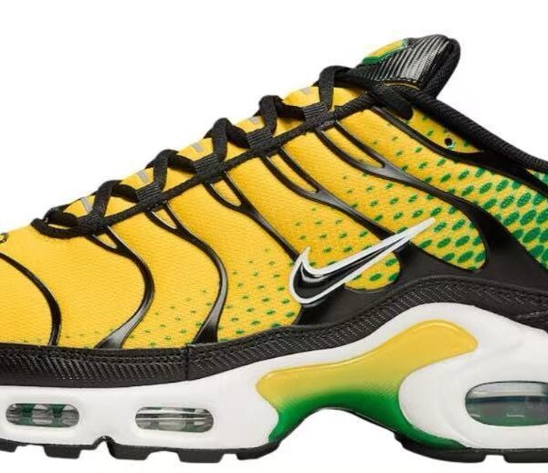 Nike TN Air Max Plus