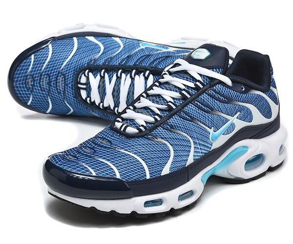 Nike TN Air Max Plus