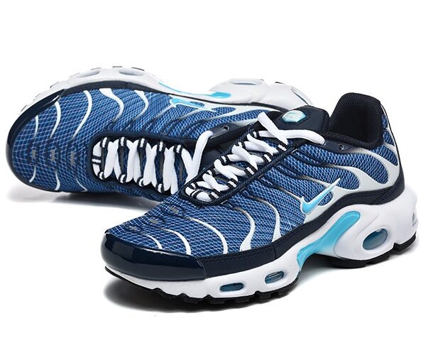 Nike TN Air Max Plus